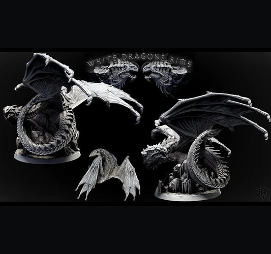 Adolescent White Dragon