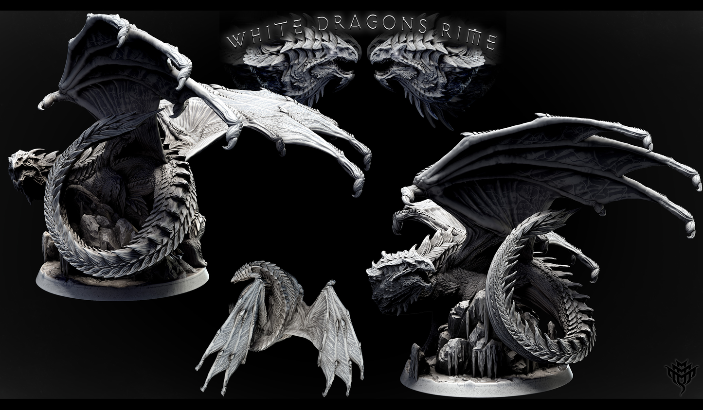 Adolescent White Dragon