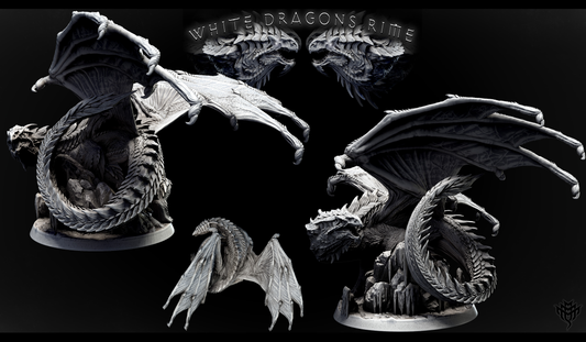 Adolescent White Dragon
