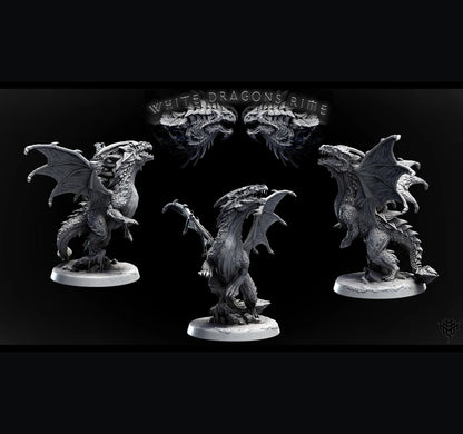 Young White Dragon