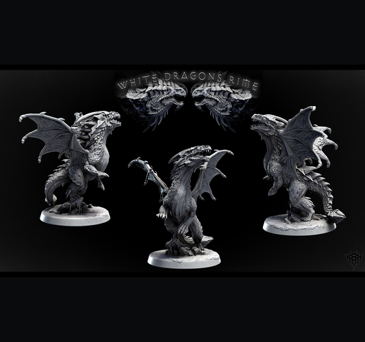 Young White Dragon