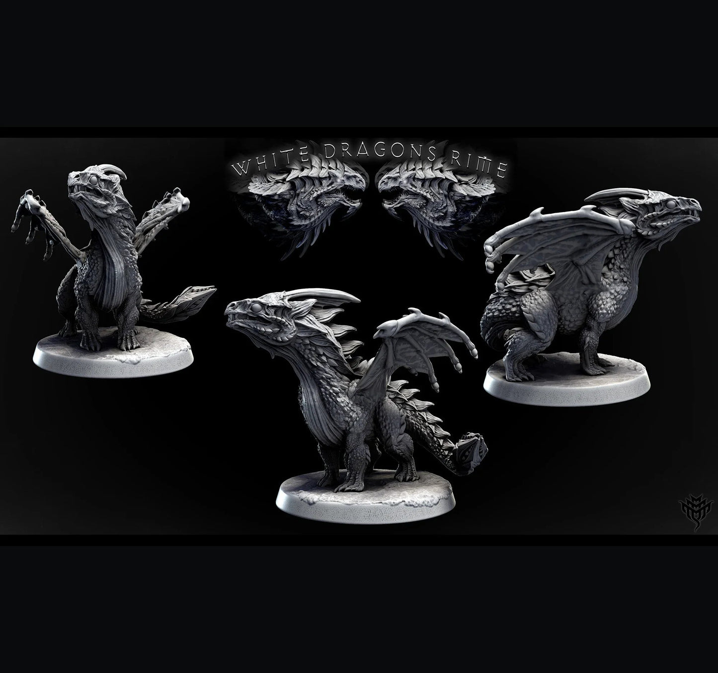 Young White Dragon