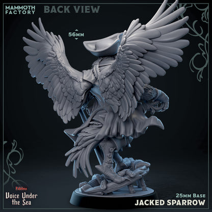 Back view of Jacked Sparrow Aarakocra pirate miniature showing large feathered wings and nautical clothing.