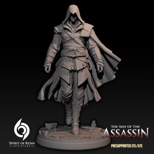 Leonard the Italic Assassin Human Rogue miniature wearing a hood, layered armor, and flowing cloak.