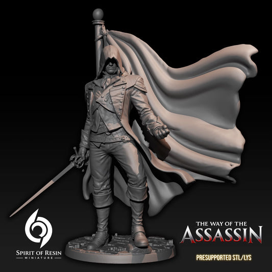 Luk the Revolutionary Assassin Human Rogue miniature holding a sword beside a flowing revolutionary banner.
