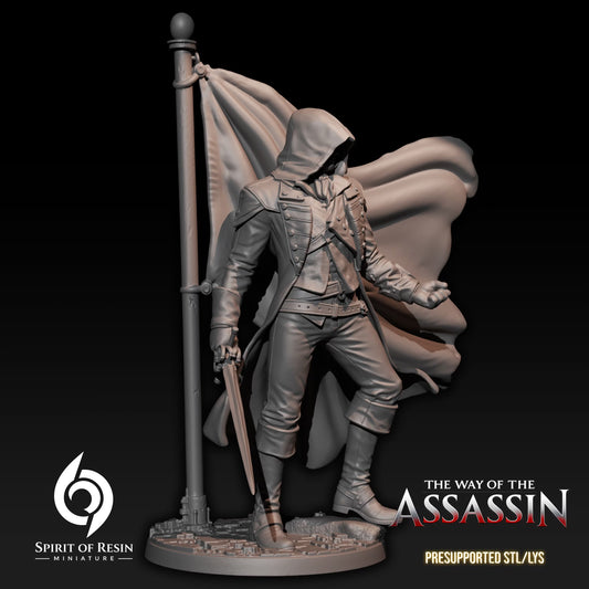 Luk the Revolutionary Assassin Human Rogue miniature with hood, sword, layered clothing, and raised banner.