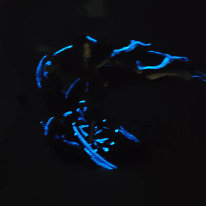 Glow effect photo of commissioned paintwork of Lune 1:10 scale resin statue from Clair Obscur Expedition 33