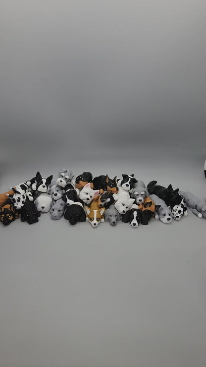 Flexi Dog Toys – Choose Your Favorite Breed
