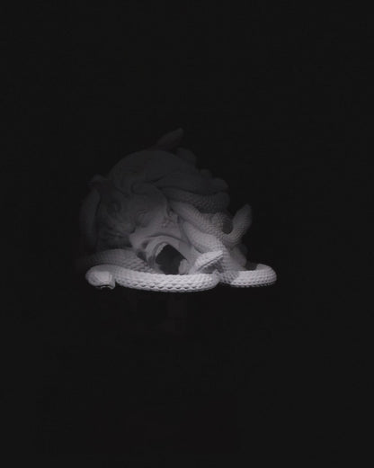 Medusa Themed Dice Tower | Gorgon's Demise