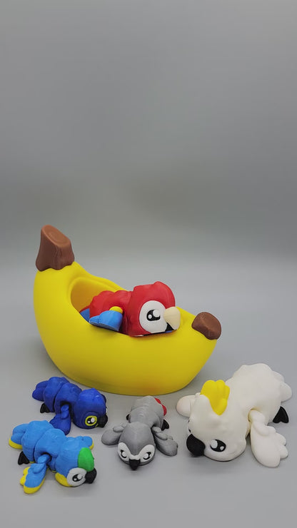 Baby Parrots Fidget Toys