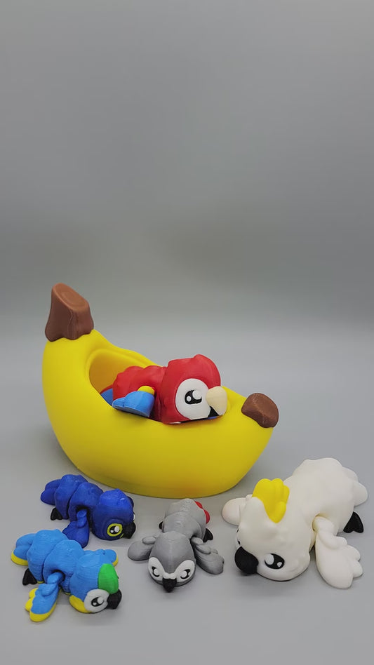 Baby Parrot Fidget