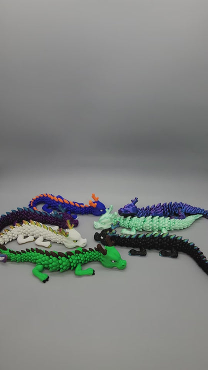Young Chinese Dragon