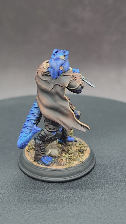 Dragonborn Rogue Assassin – Umbrascale