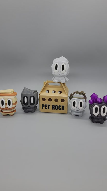 Adopt-a-Rock Pet with Crate