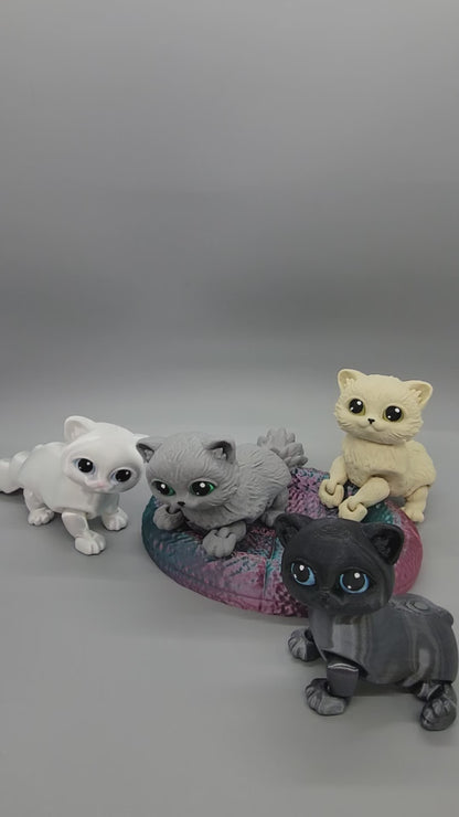 Juguete para gatos Munchkin