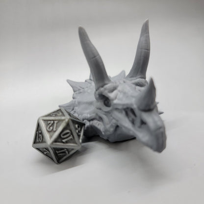 Triceratops Skull