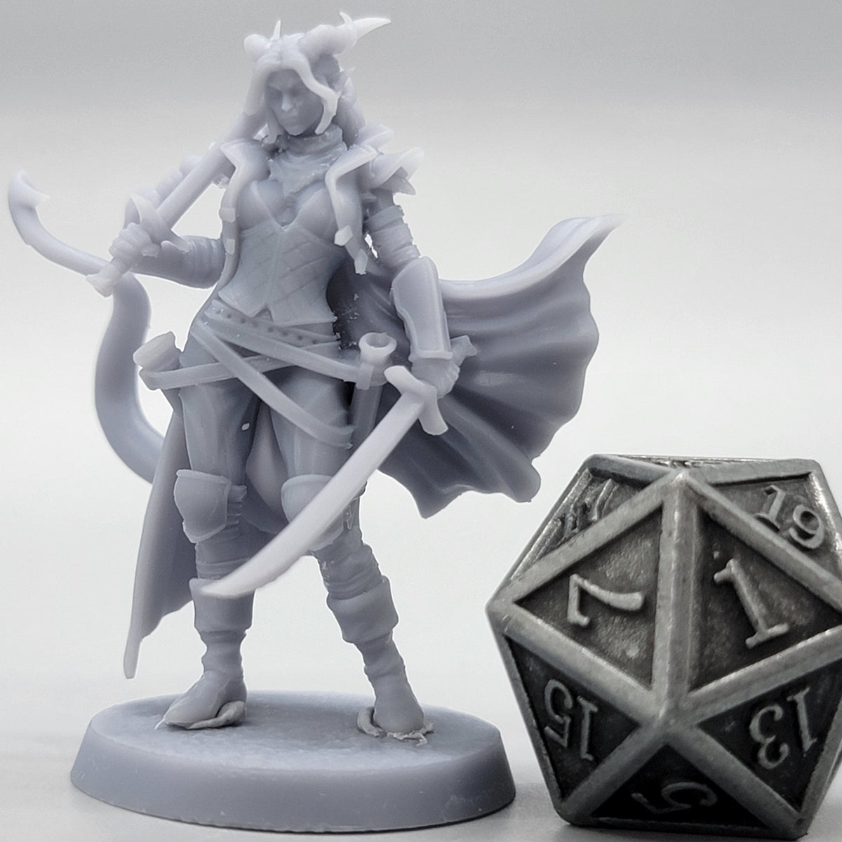 Sword Siren - Tiefling Fighter Rogue