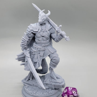 High-detail 16K resolution 75mm Skraa Dark-Eye Dragonkin miniature, printed and assembled by D&K Custom Prints. Sculpt by DM Stash.
