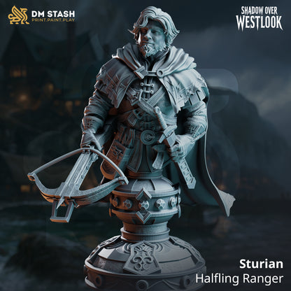 Sturian Halfling Ranger display bust front view