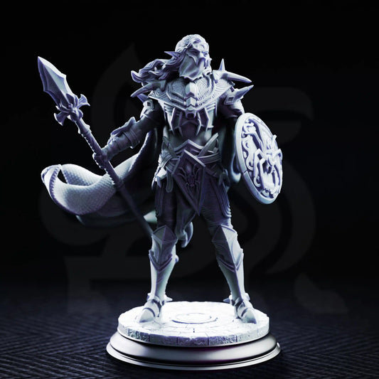 Front view of Vessels of Irinax Drow Soldier 1 holding a spear and round shield while wearing heavy spider-themed armor